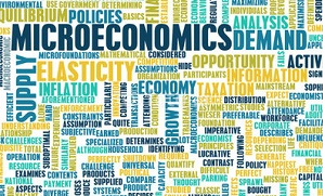 The Microeconomics of Human Capital 